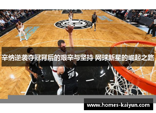 辛纳逆袭夺冠背后的艰辛与坚持 网球新星的崛起之路